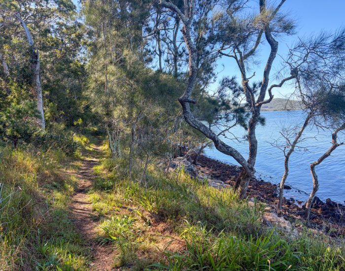 a photo taken at a trail next to a lake at booti booti national park during the day