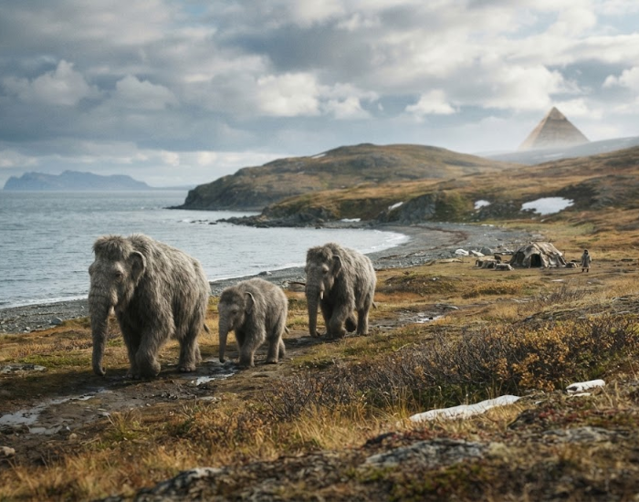 Woolly mammoths walking along a coastal shore with a pyramid visible in the distance.