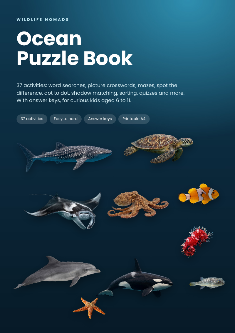 Ocean Puzzle Book cover