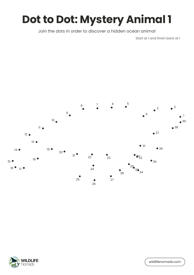 Dot to dot page from the Ocean Puzzle Book