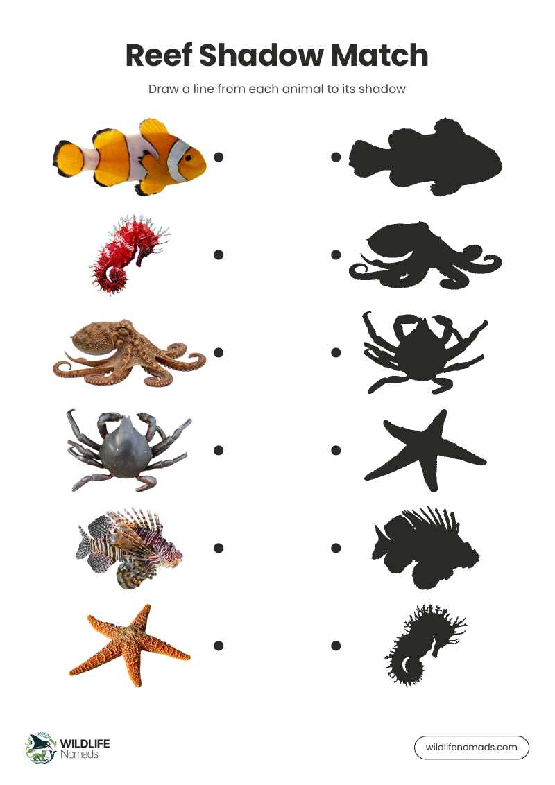 Shadow match page from the Ocean Puzzle Book