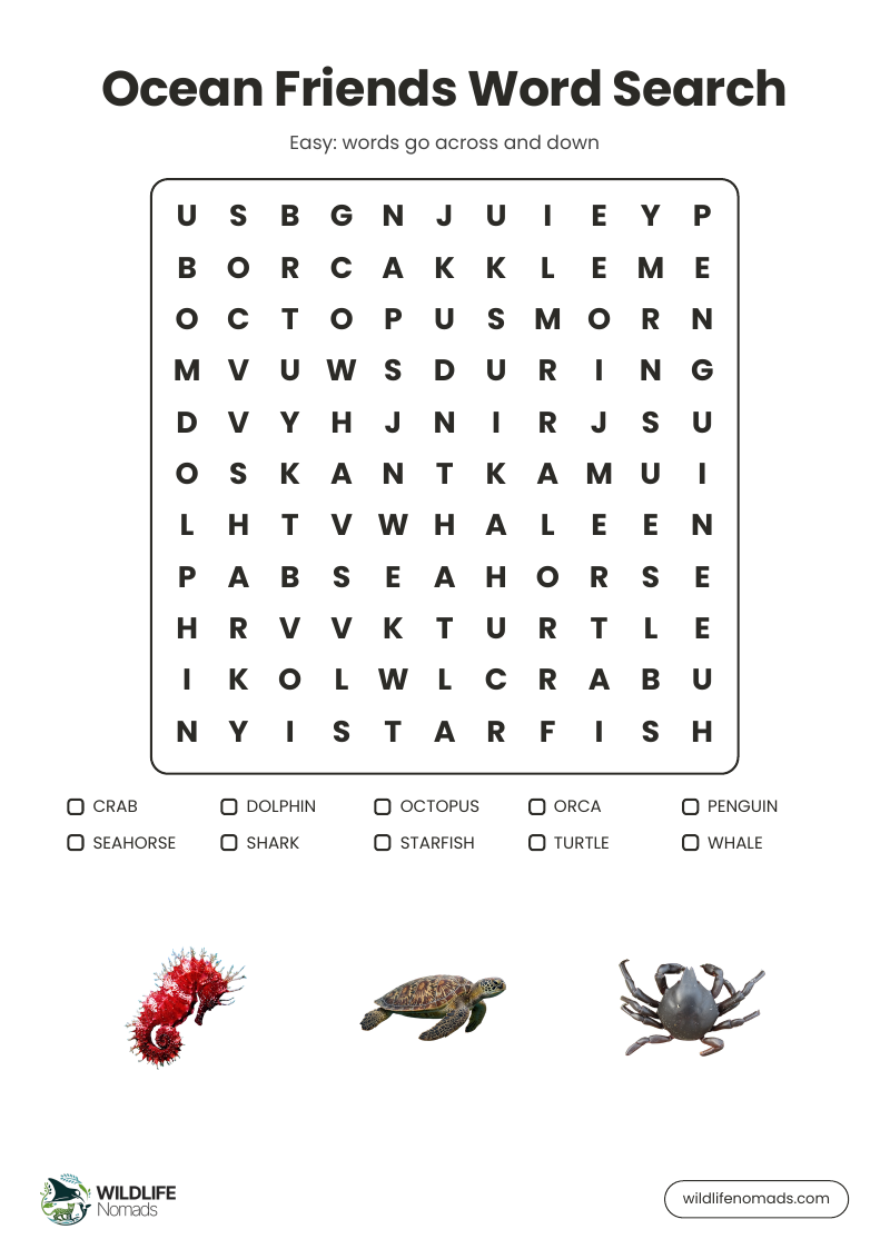 Word search page from the Ocean Puzzle Book