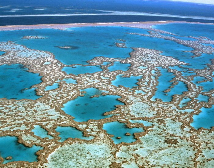 Patch reefs, small isolated coral reefs scattered over sand