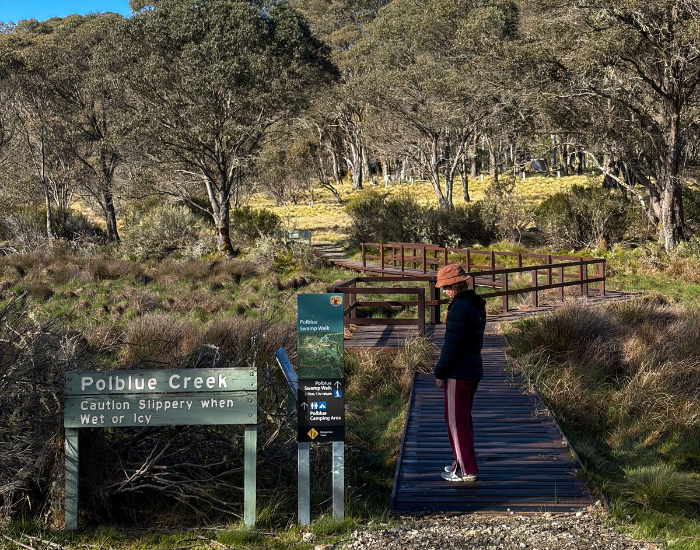 a woman staring at a creek at polblue creek with a sign on it and nature behind