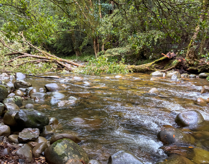 a river creek at gloucester