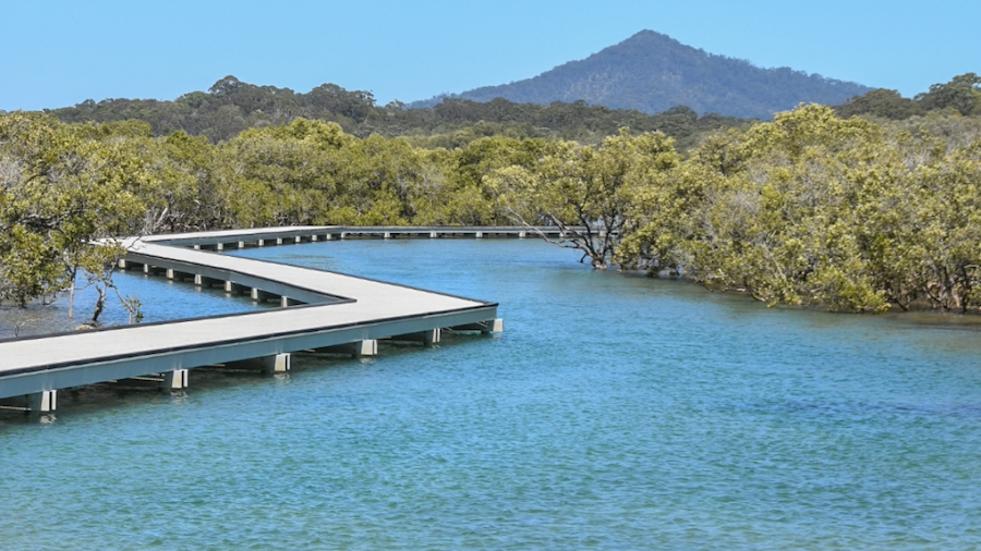 landscape photo of a boardwalk at urunga surrounded by mangroves on a clear sunny day